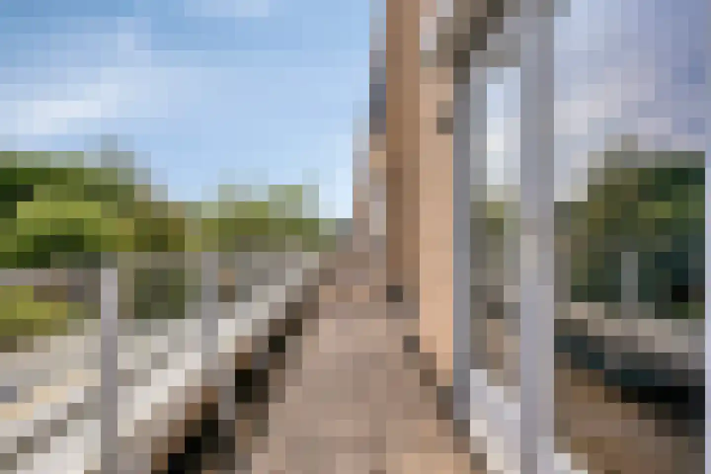 Grasperk 44 Eindhoven thumbnail 21