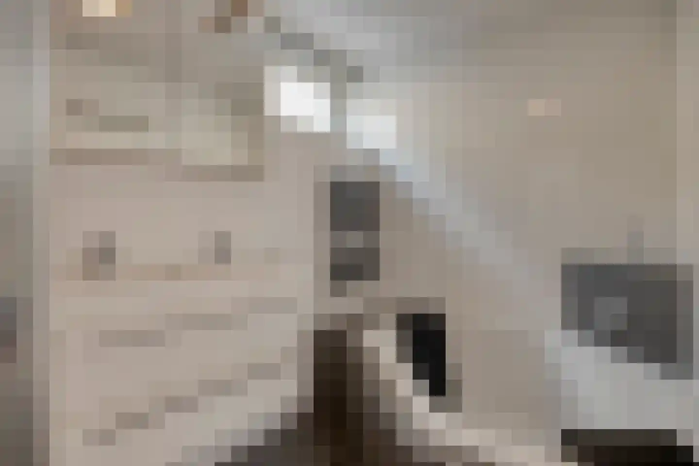 Grasperk 44 Eindhoven thumbnail 22