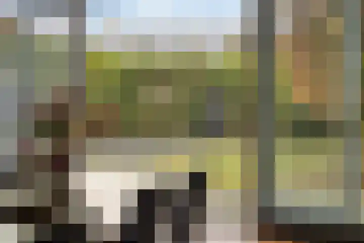 Grasperk 8 Eindhoven thumbnail 12