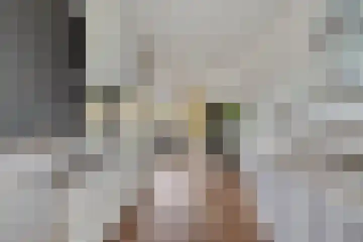 Grasperk 8 Eindhoven thumbnail 17