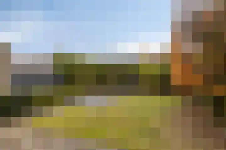 Grasperk 8 Eindhoven thumbnail 35