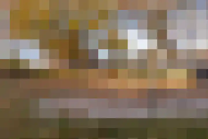 Grasperk 8 Eindhoven thumbnail 40