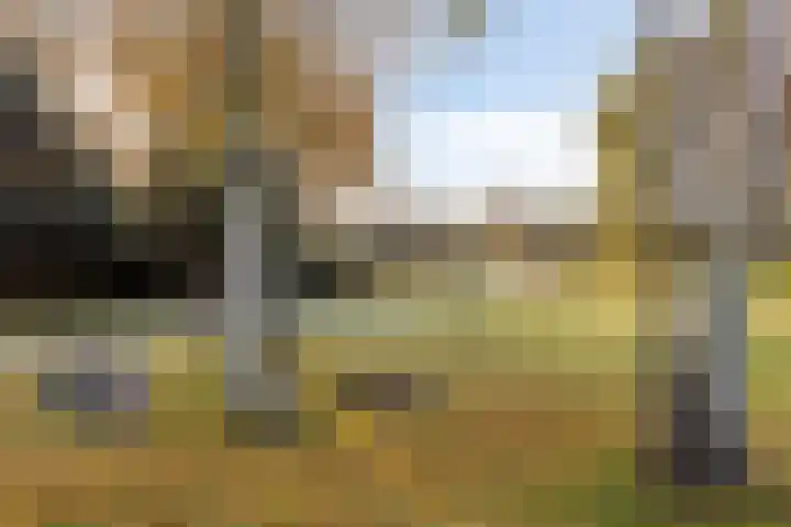 Grasperk 8 Eindhoven thumbnail 41