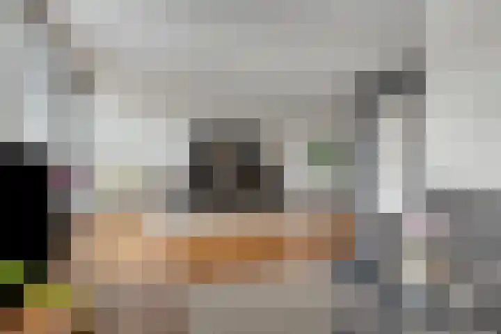 Grasperk 8 Eindhoven thumbnail 8