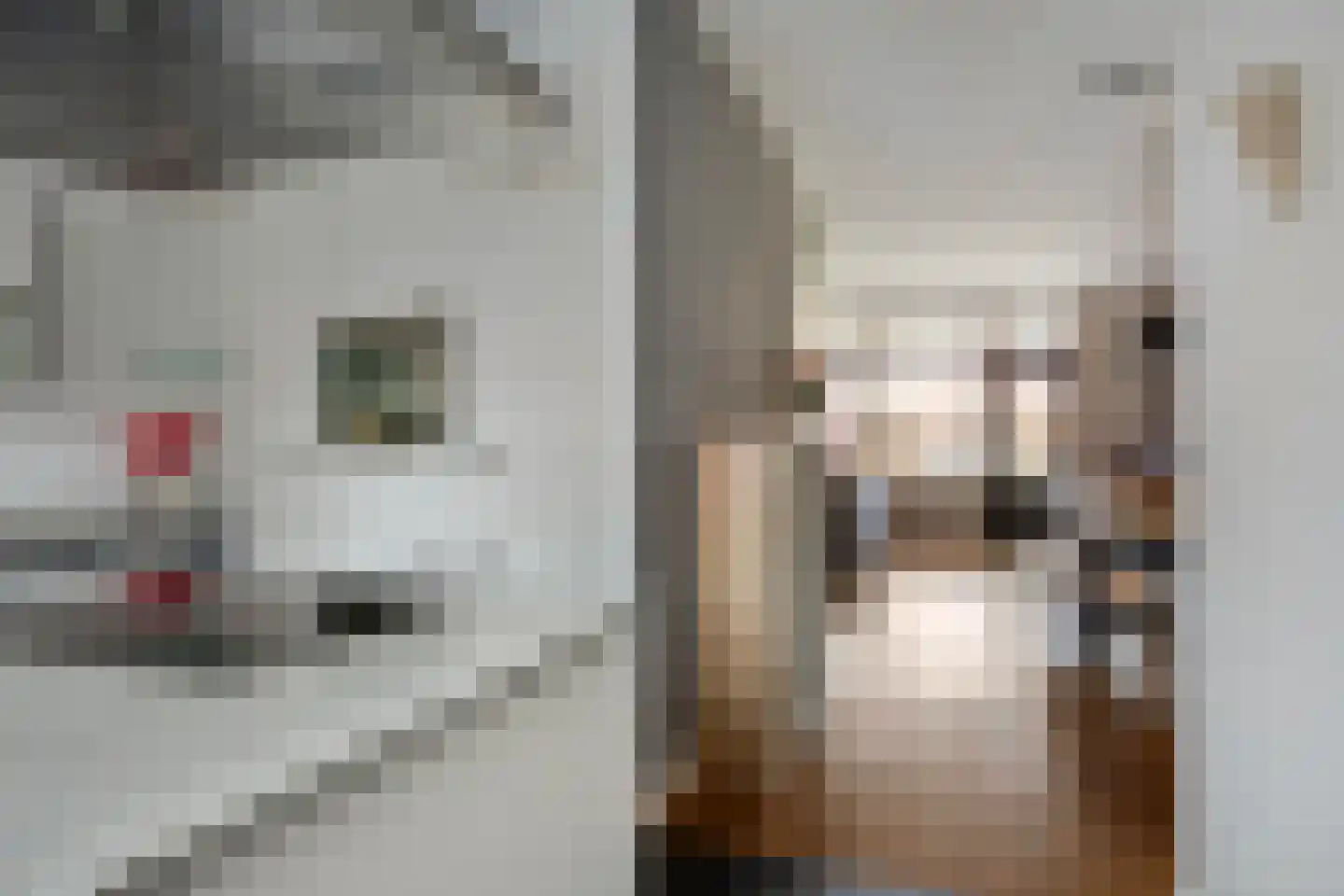 Graspieper 105 Eindhoven thumbnail 13