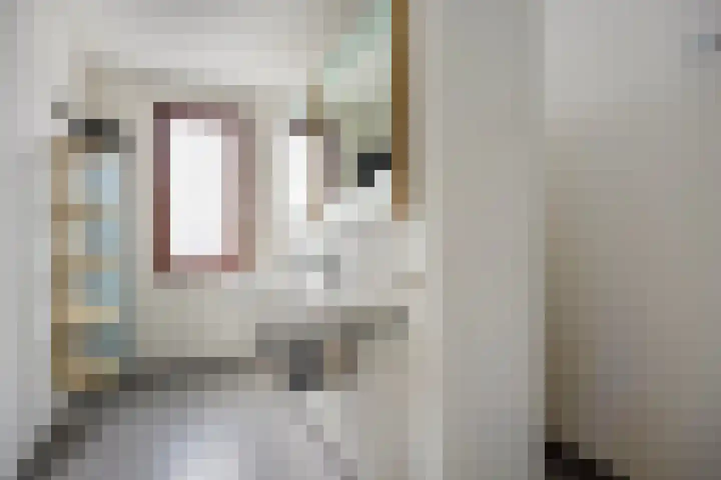 Graspieper 105 Eindhoven thumbnail 21