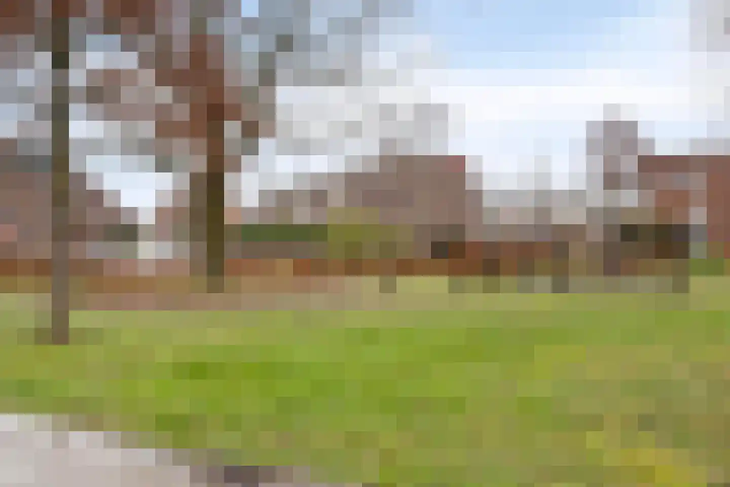 Graspieper 105 Eindhoven thumbnail 37