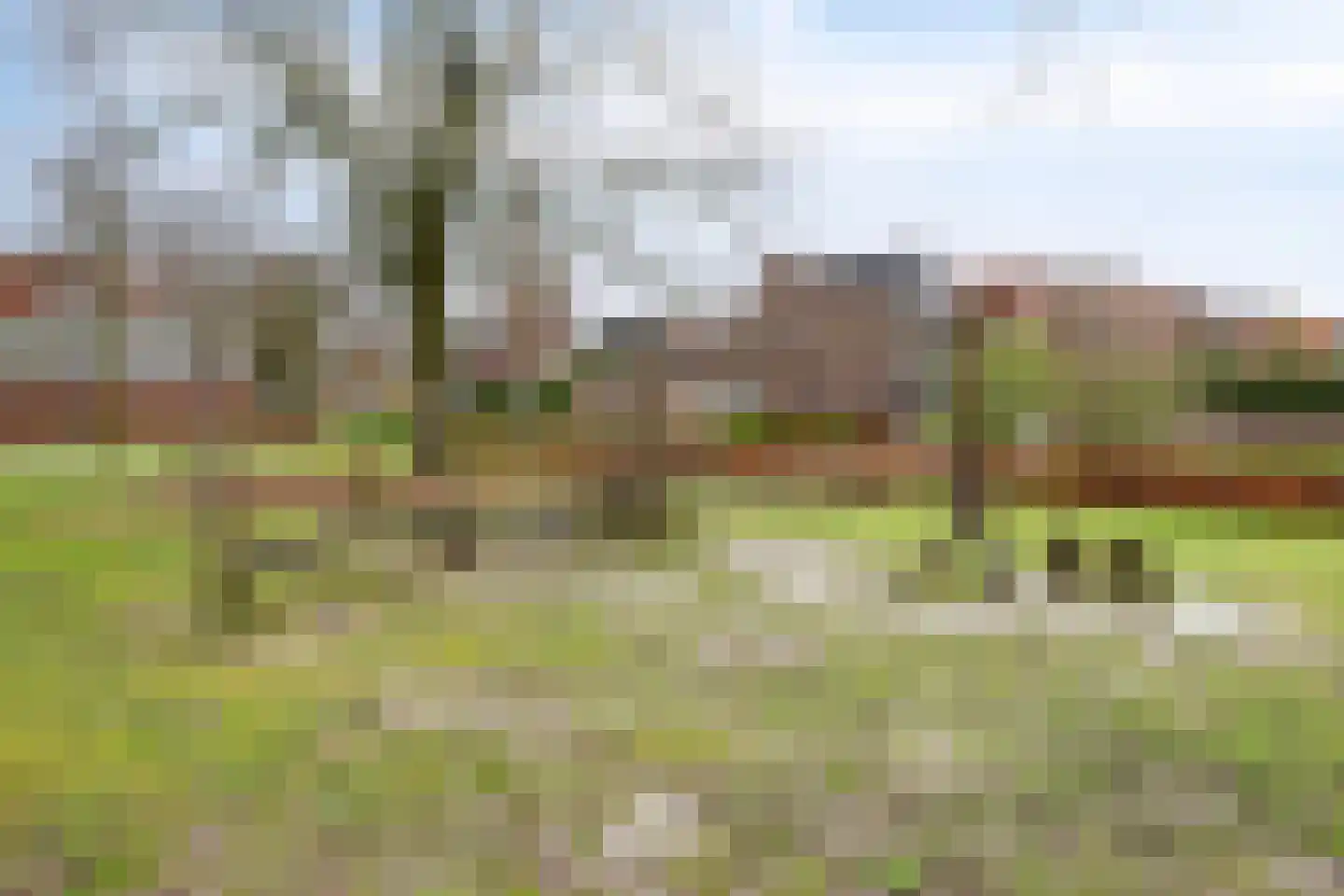 Graspieper 105 Eindhoven thumbnail 38