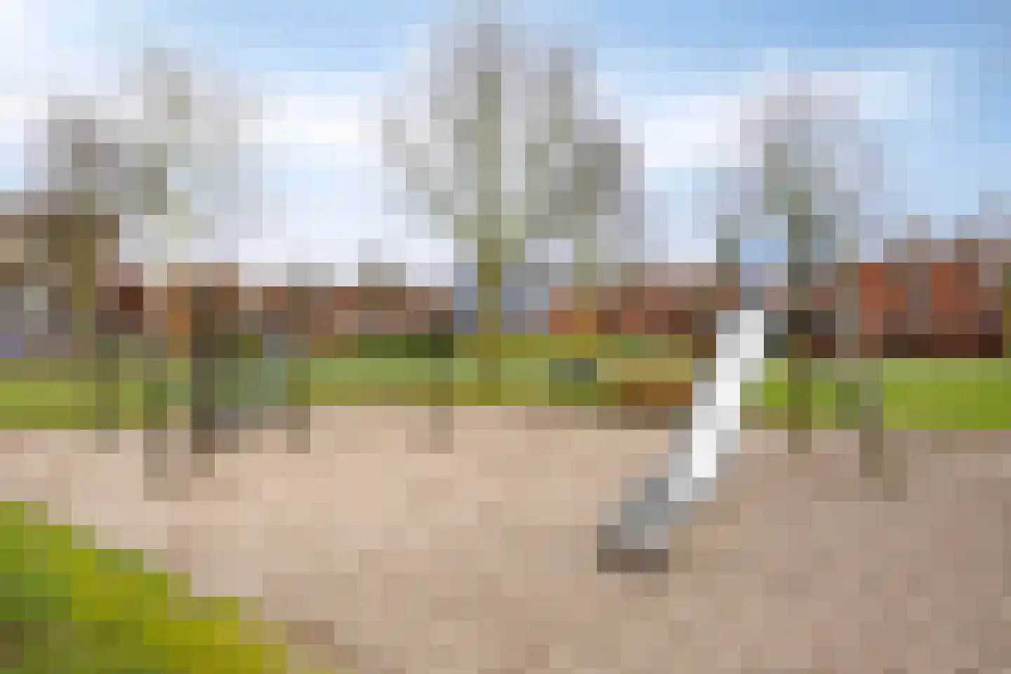 Graspieper 105 Eindhoven thumbnail 39