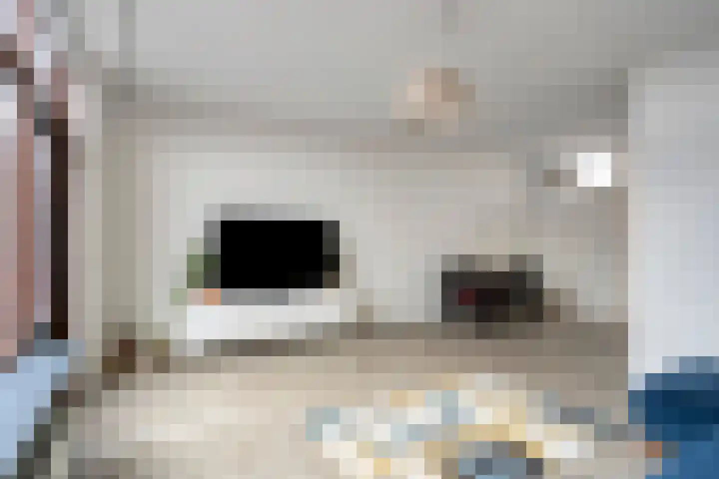 Graspieper 121 Eindhoven thumbnail 15