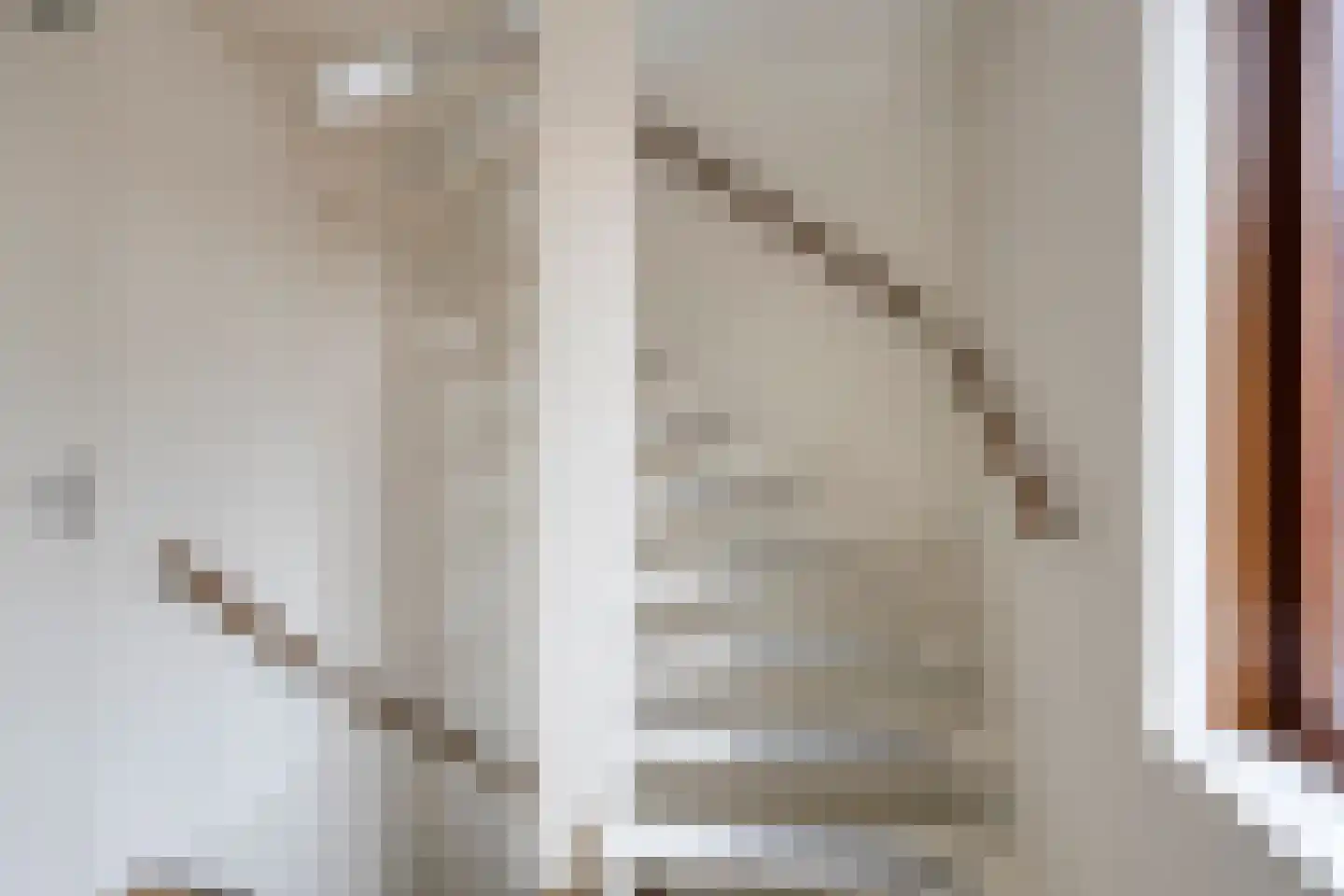Graspieper 121 Eindhoven thumbnail 25