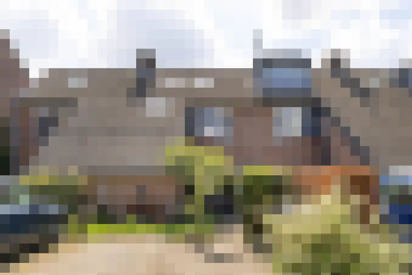 Graspieper 13 en Maartensdijk