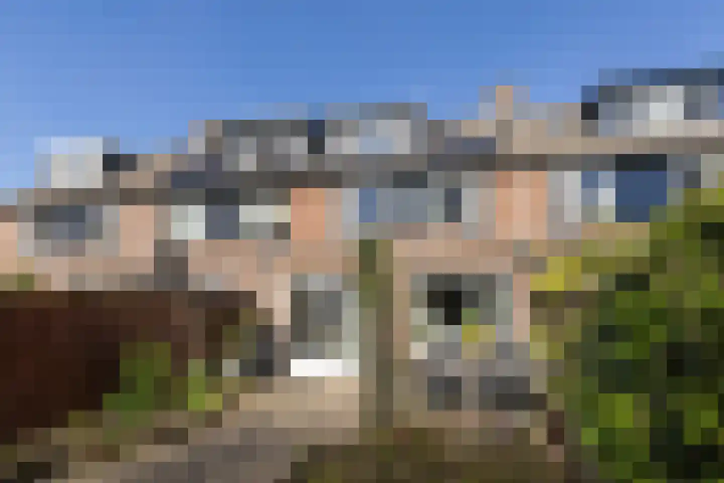 Graspieper 13 Maartensdijk