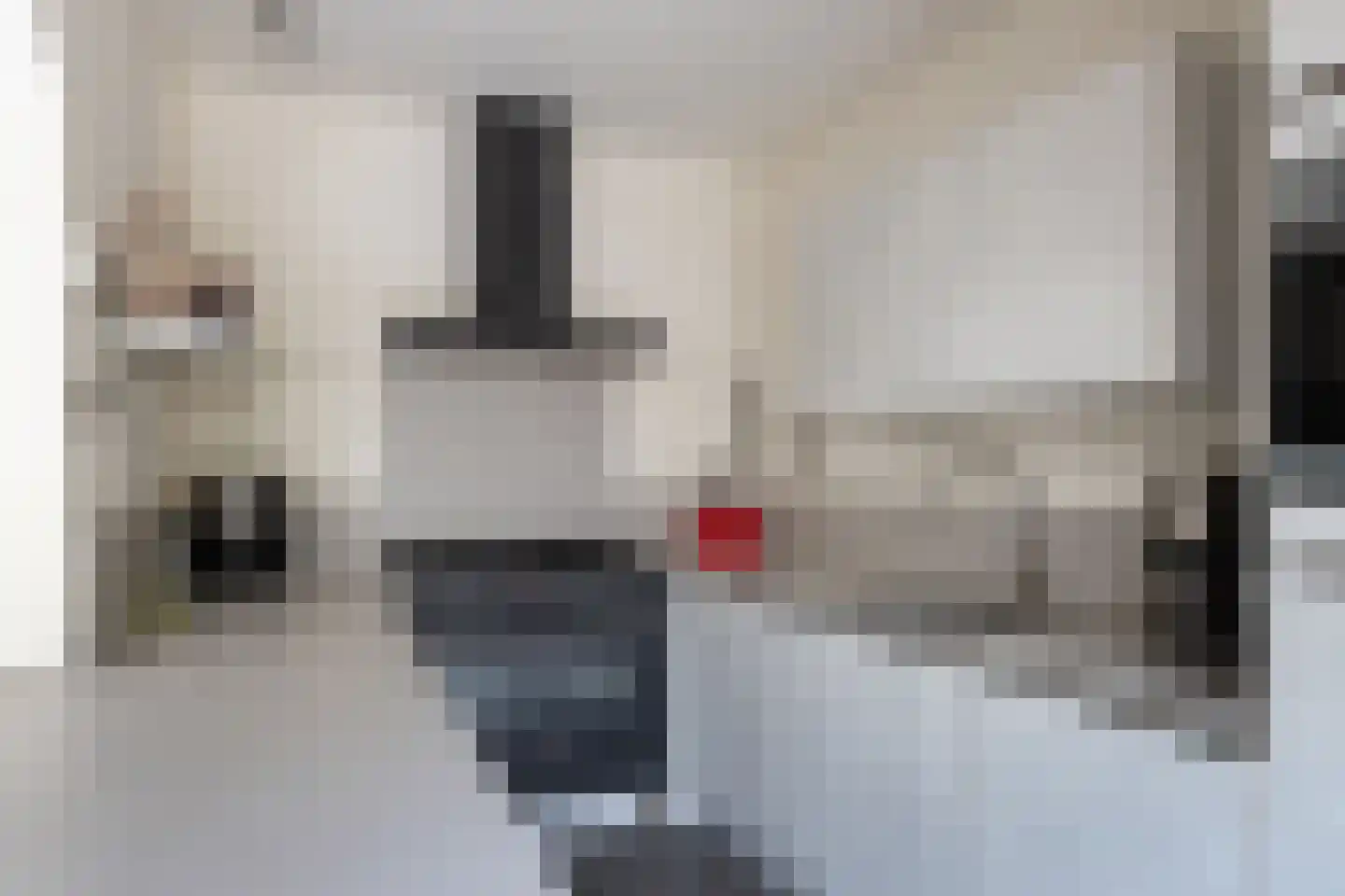 Graspieper 13 Maartensdijk thumbnail 13