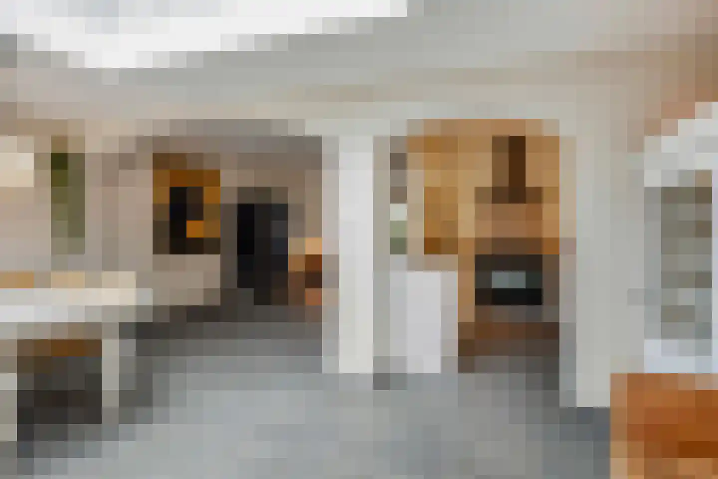 Graspieper 13 Maartensdijk thumbnail 14