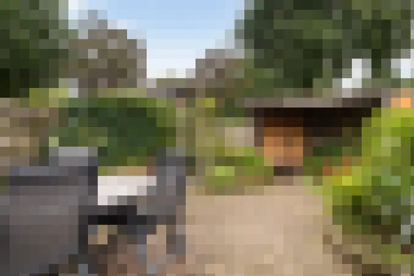 Graspieper 13 Maartensdijk thumbnail 17