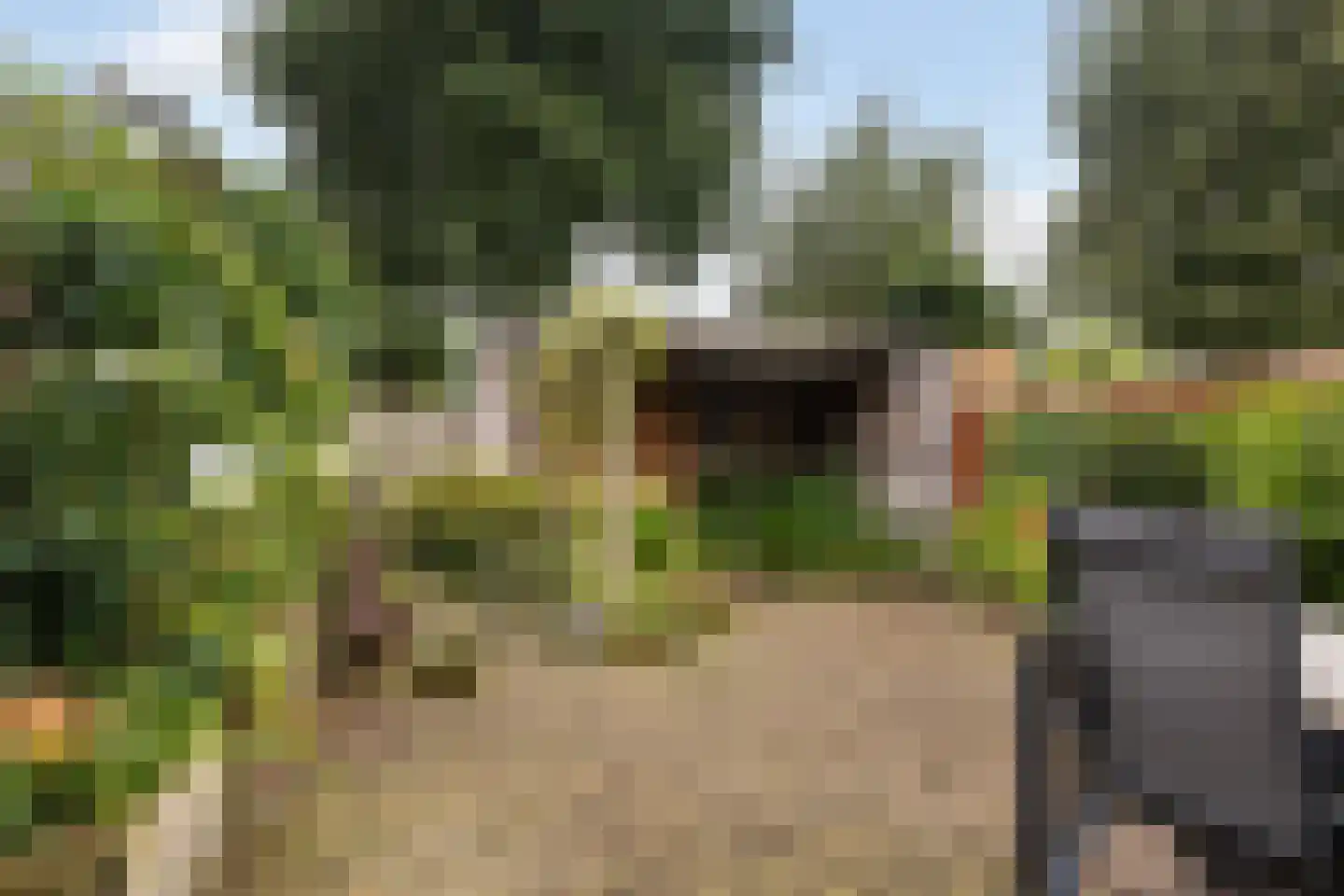 Graspieper 13 Maartensdijk thumbnail 18