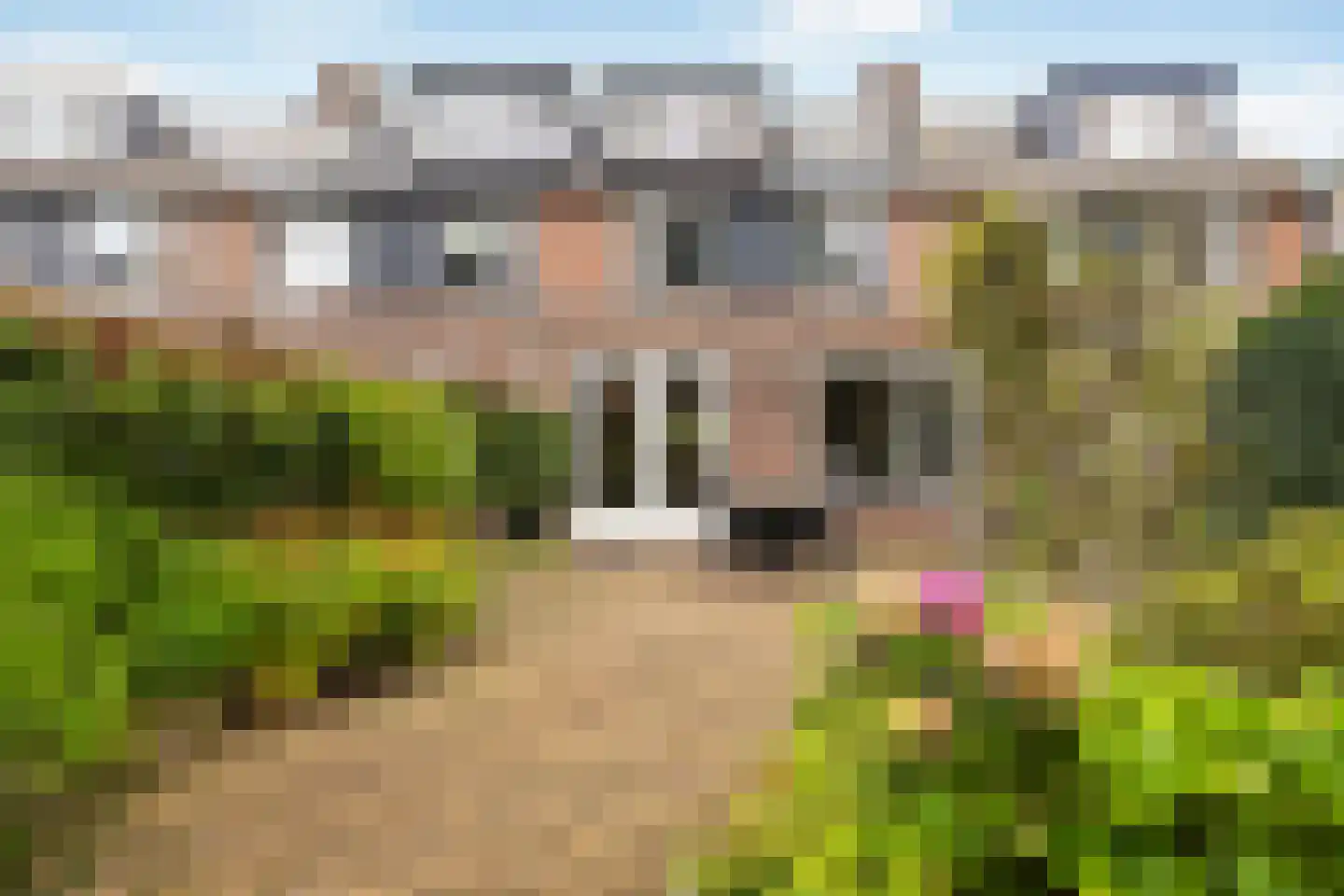 Graspieper 13 Maartensdijk thumbnail 19