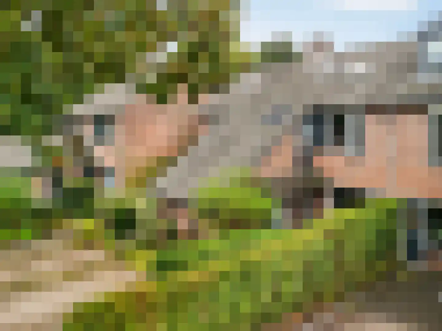 Graspieper 13 Maartensdijk thumbnail 20