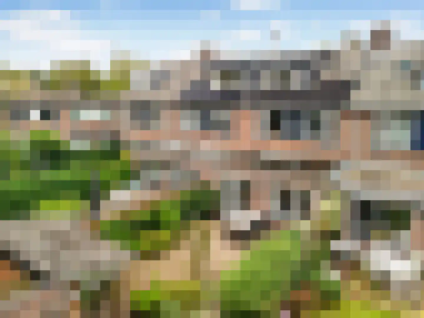 Graspieper 13 Maartensdijk thumbnail 21
