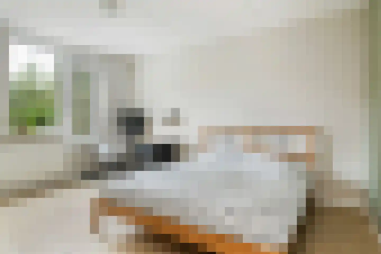 Graspieper 13 Maartensdijk thumbnail 24