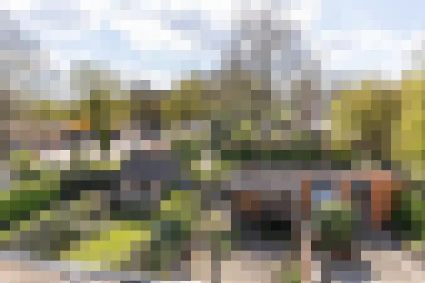 Graspieper 13 Maartensdijk thumbnail 34