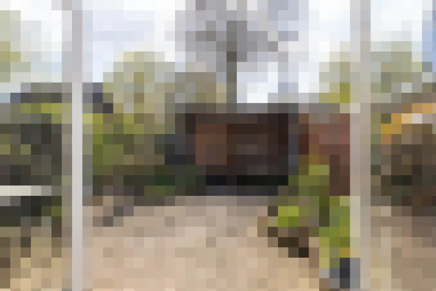 Graspieper 13 Maartensdijk thumbnail 34