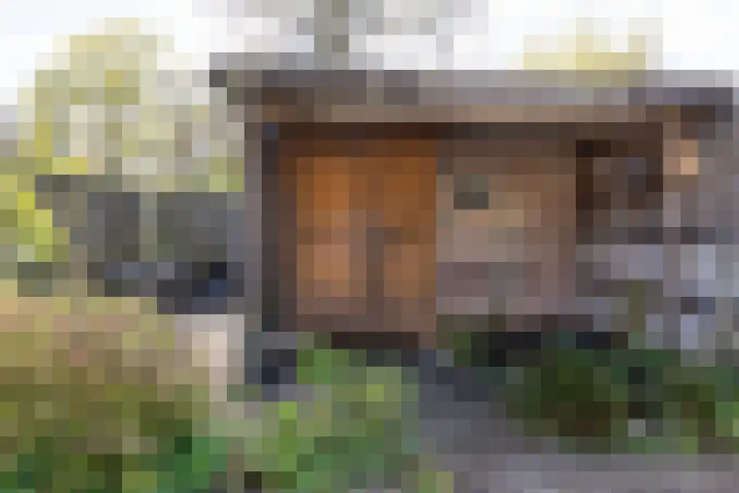Graspieper 13 Maartensdijk thumbnail 36