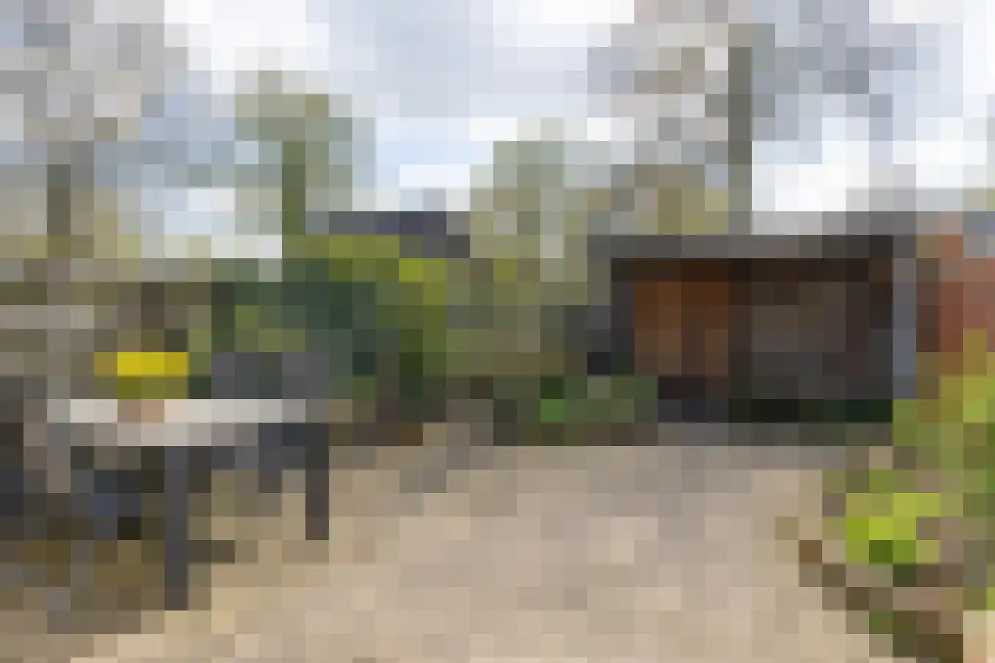 Graspieper 13 Maartensdijk thumbnail 36