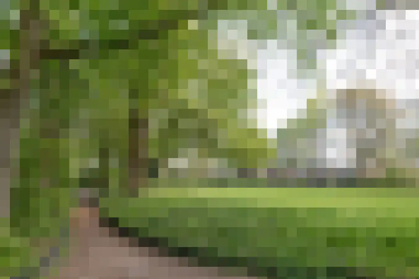 Graspieper 13 Maartensdijk thumbnail 46