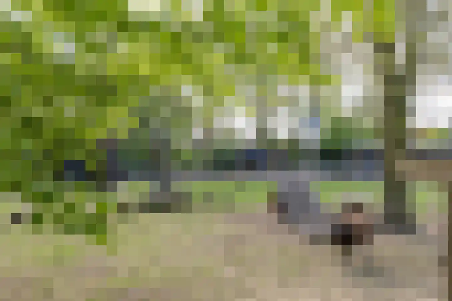 Graspieper 13 Maartensdijk thumbnail 47