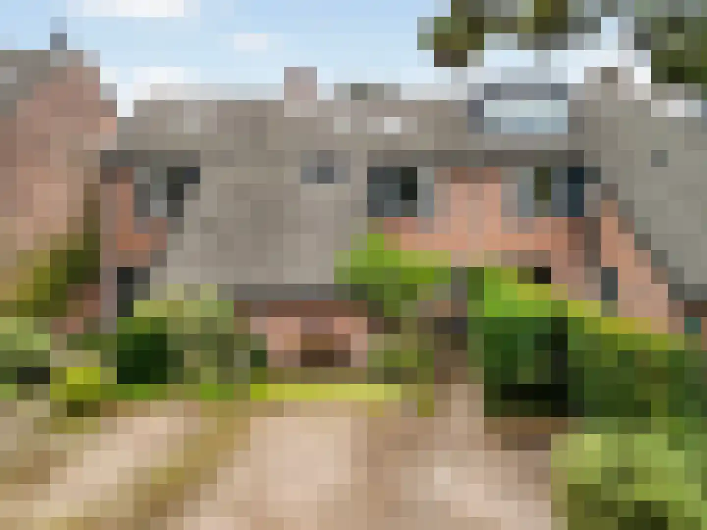 Graspieper 13 Maartensdijk thumbnail 7
