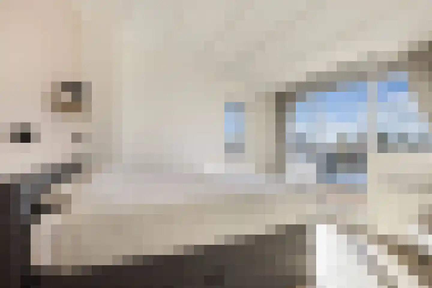 Graspieper 17 Lemmer thumbnail 22