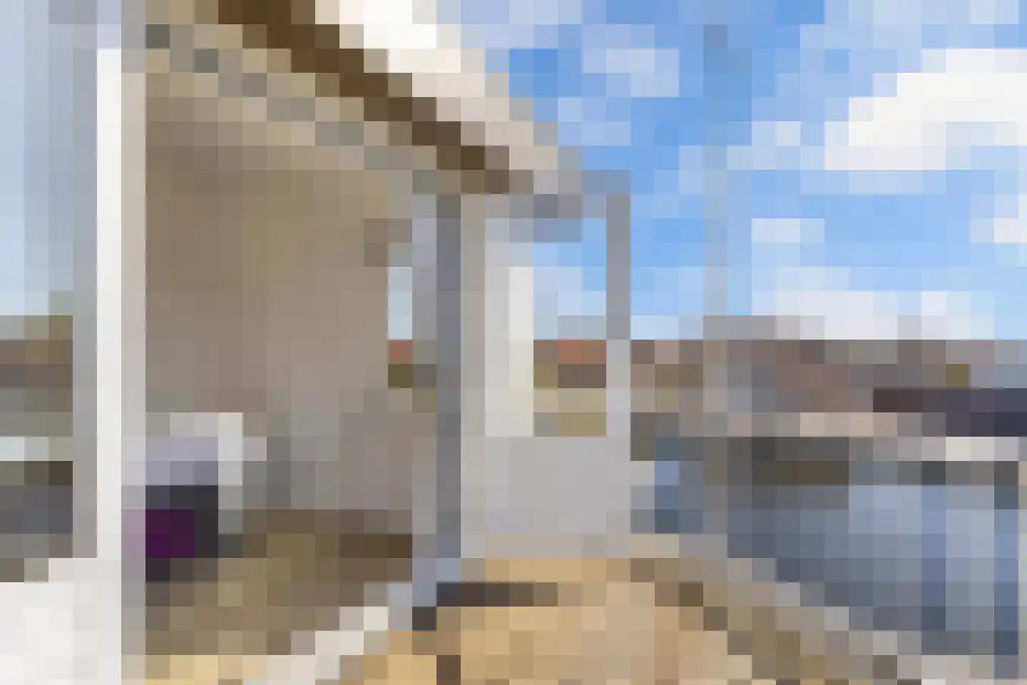 Graspieper 17 Lemmer thumbnail 26
