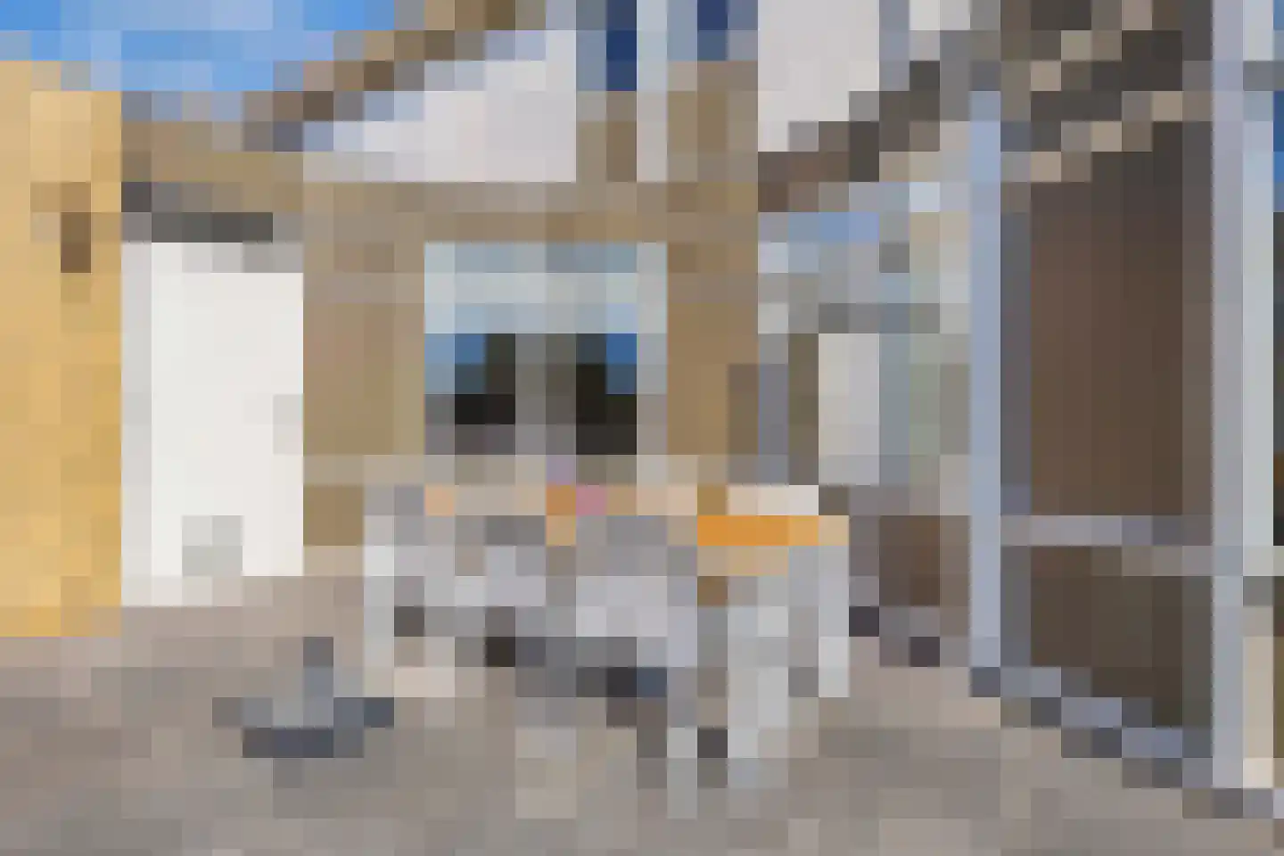 Graspieper 17 Lemmer thumbnail 36