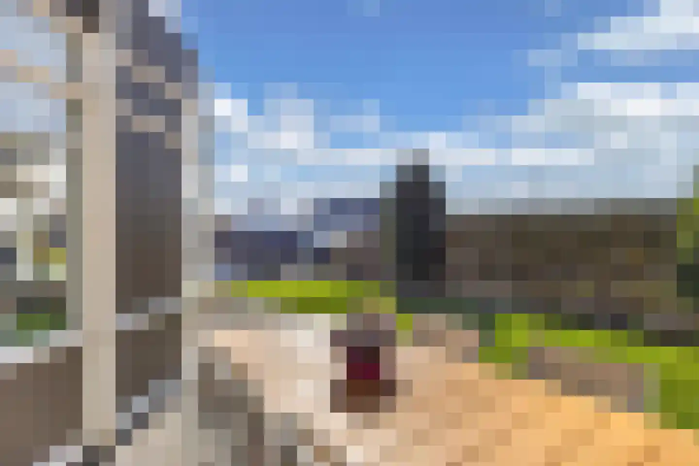Graspieper 17 Lemmer thumbnail 37