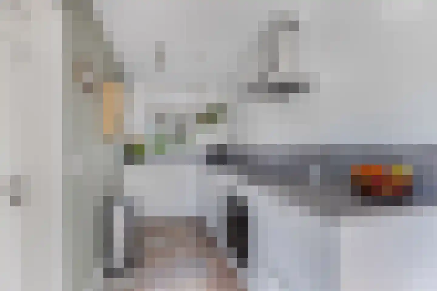 Graspieper 17 Lemmer thumbnail 4