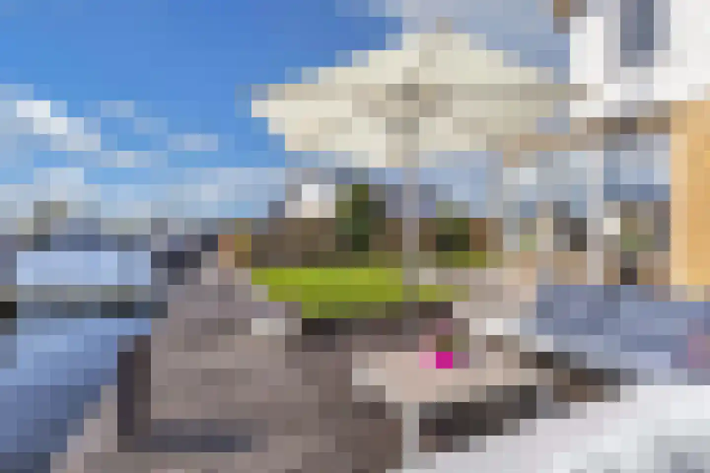 Graspieper 17 Lemmer thumbnail 43