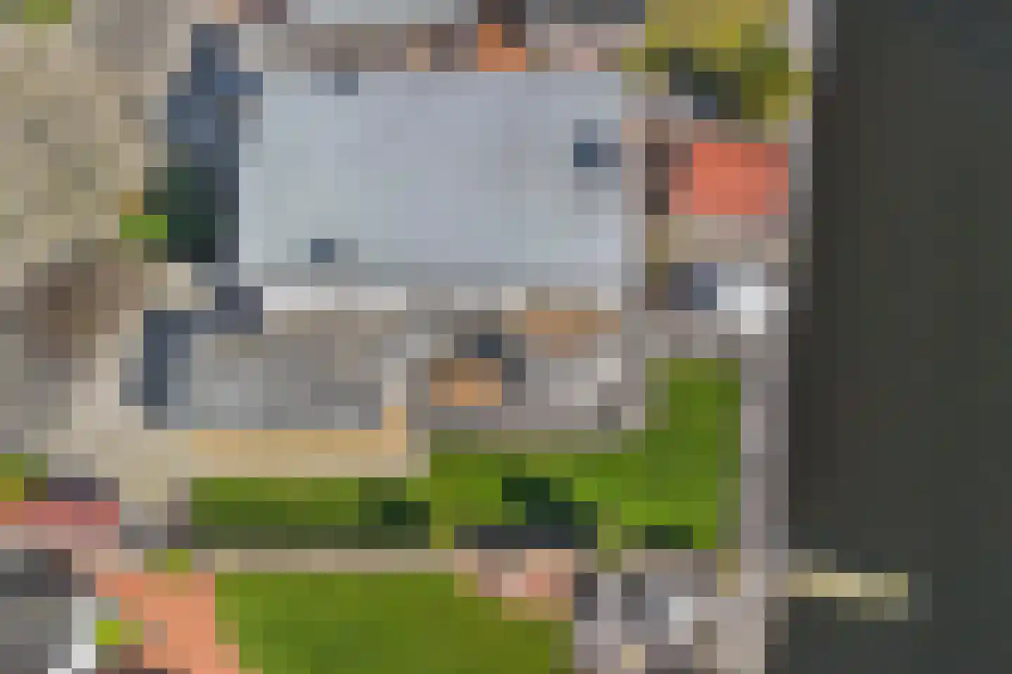 Graspieper 17 Lemmer thumbnail 48