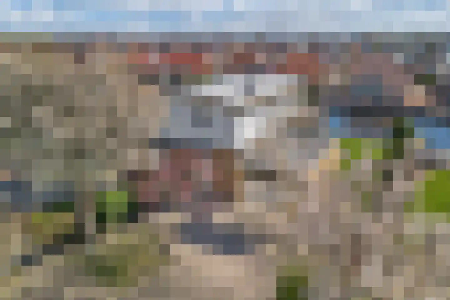 Graspieper 17 Lemmer thumbnail 56