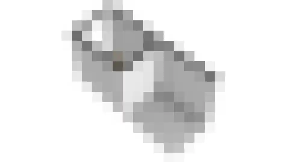 Graspieper 17 Lemmer thumbnail 63