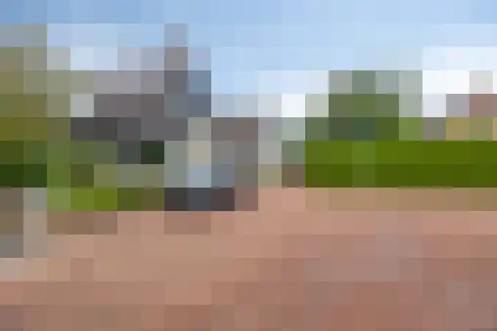 Graspieper 20 IJsselmuiden thumbnail 22