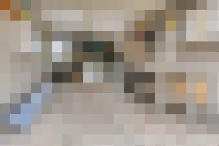 Graspieper 20 IJsselmuiden thumbnail 27