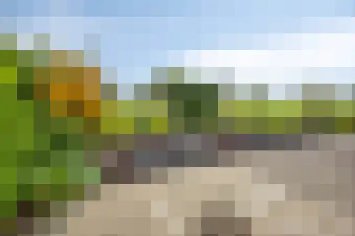 Graspieper 20 IJsselmuiden thumbnail 28