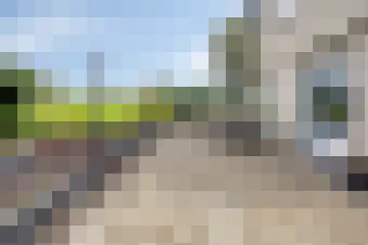 Graspieper 20 IJsselmuiden thumbnail 29
