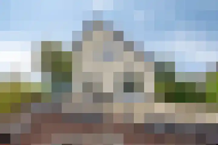 Graspieper 20 IJsselmuiden thumbnail 30