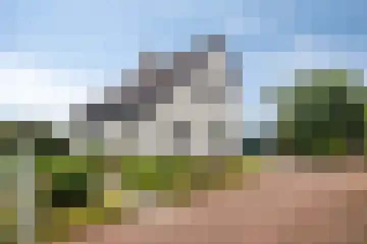 Graspieper 20 IJsselmuiden thumbnail 32
