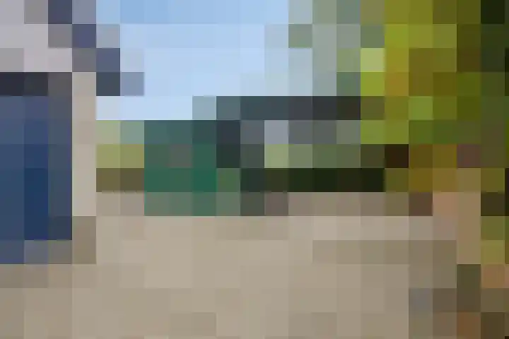 Graspieper 20 IJsselmuiden thumbnail 33