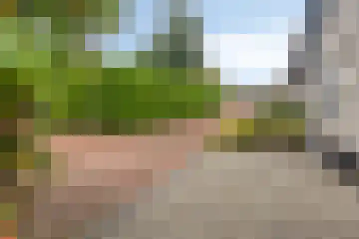 Graspieper 20 IJsselmuiden thumbnail 34