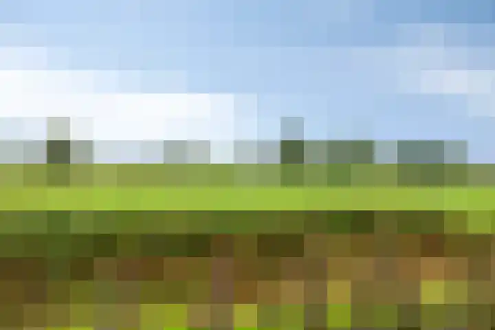 Graspieper 20 IJsselmuiden thumbnail 36